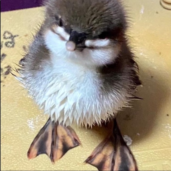 Cherry red  canvas ,Structured handle nylon  vintage nylon  vintage shoulder bag - Picture 16 of 16